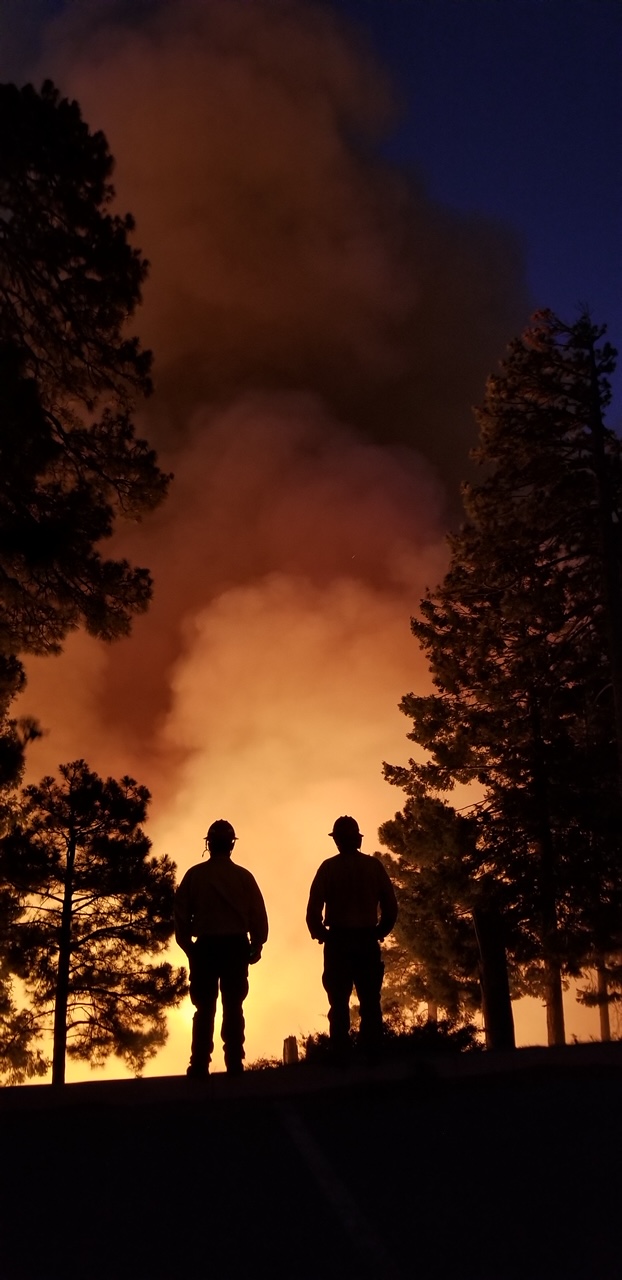 WILDLAND1.jpg